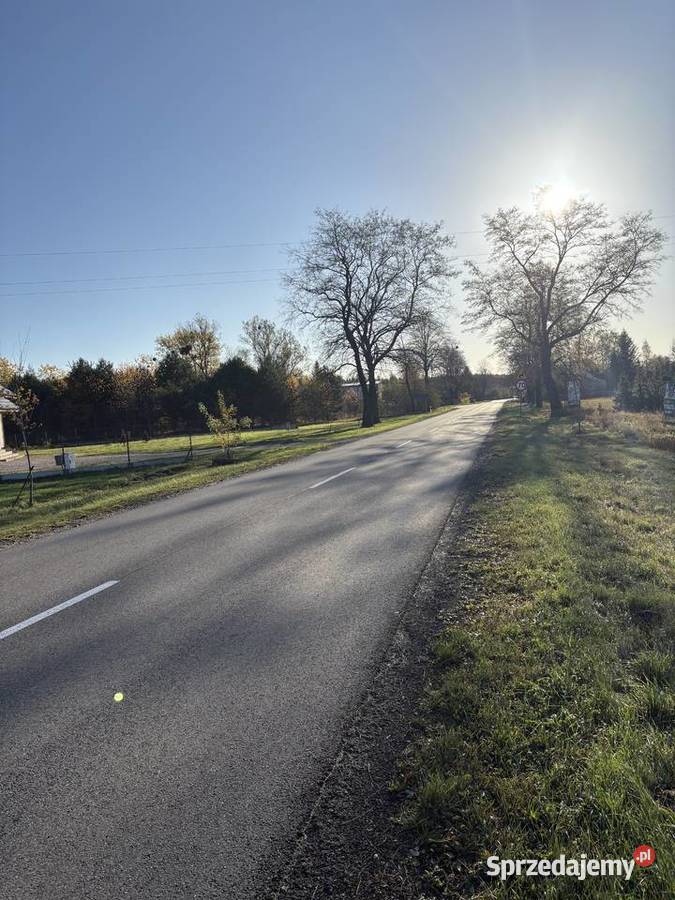 Syndyk sprzeda Sworzyce 7200m2 Sprzedaż