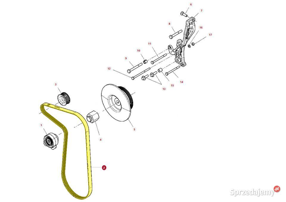 Pas klinowy alternatora Massey Ferguson Białystok
