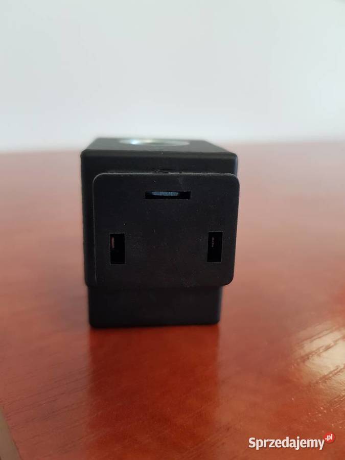 9113808100 Cewka Lely Pura Hodowla bydła lubuskie Sulechów