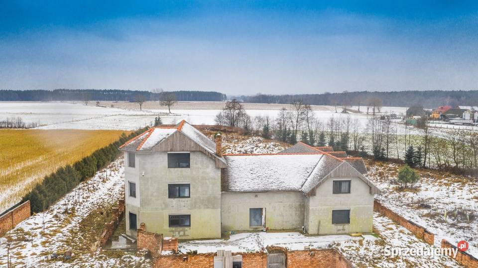 Unikatowy dom w Dąbiu woj lubuskie Dąbie