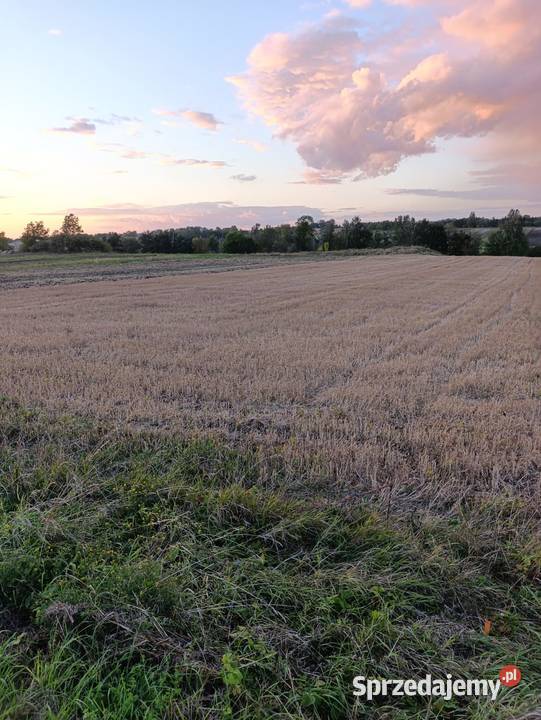 Działka Lesie 7 Uzdrowiska BuskoZdrój 30ar 60ar świętokrzyskie
