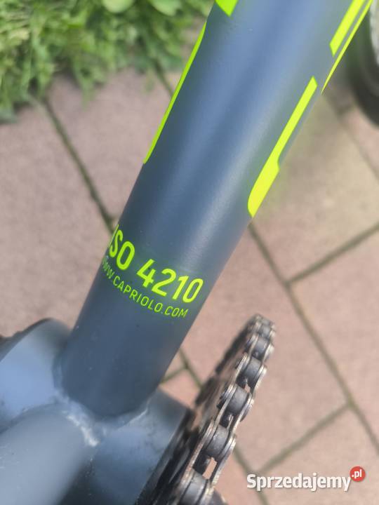 Rower BMX 20 Capriolo Totem Pegi Stan Mosina