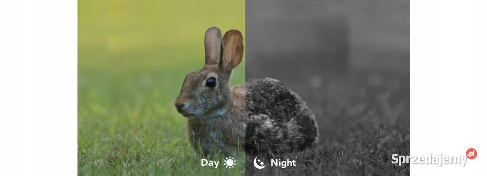 Luneta Noktowizyjna Noktowizor Celownik Pozostałe