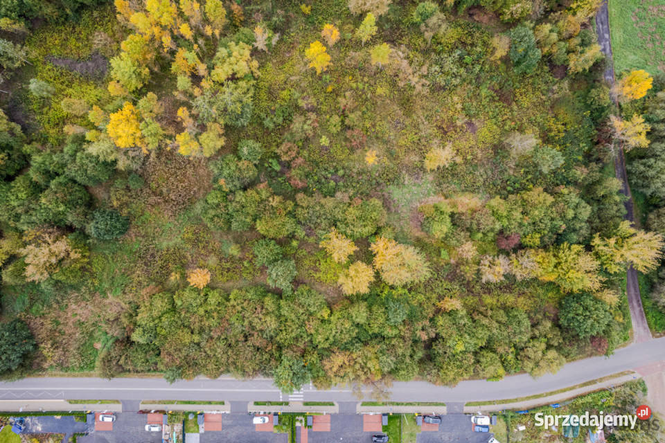 Działkę sprzedam Warszawa Bukowska 8523m2 asfalt