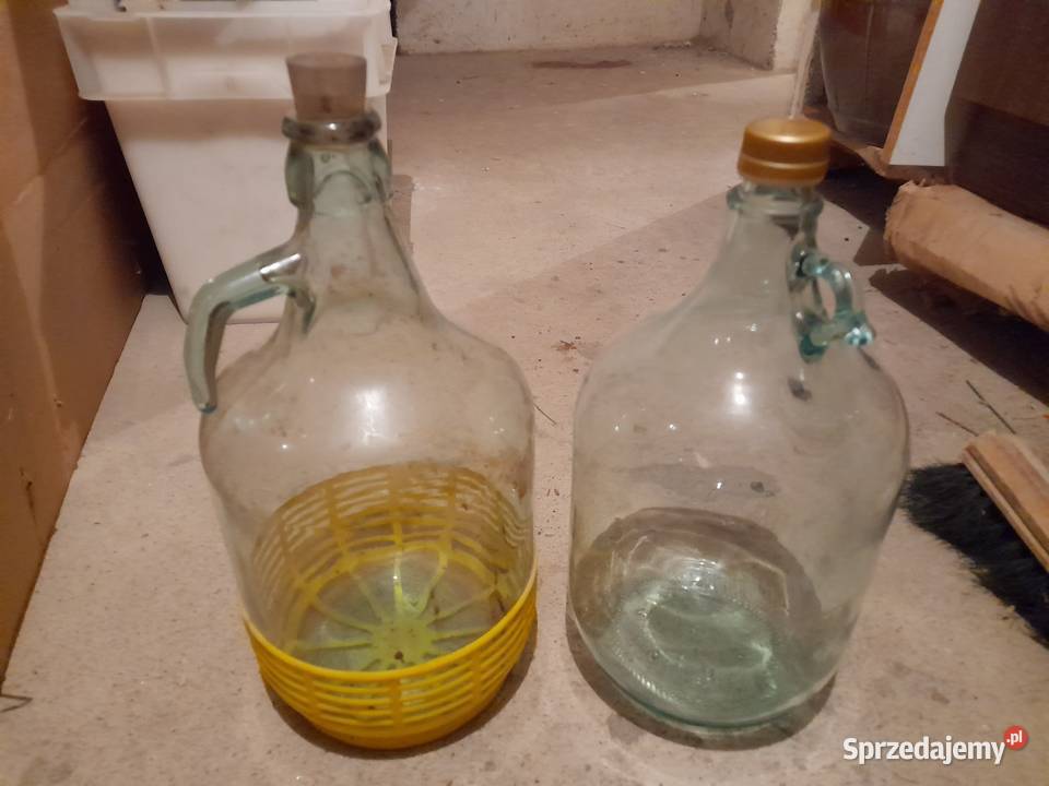 Gąsiorki balony balon Gąsior na wino wina 5 l 2 Słupsk