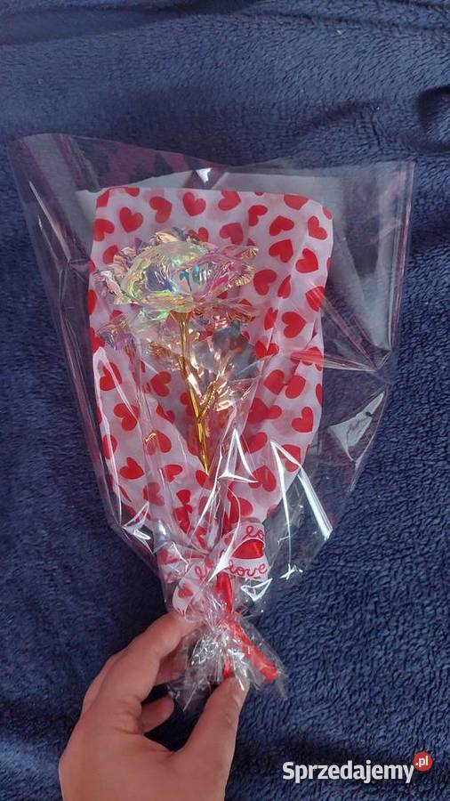 Róże na Walentynki Rośliny Rybnik