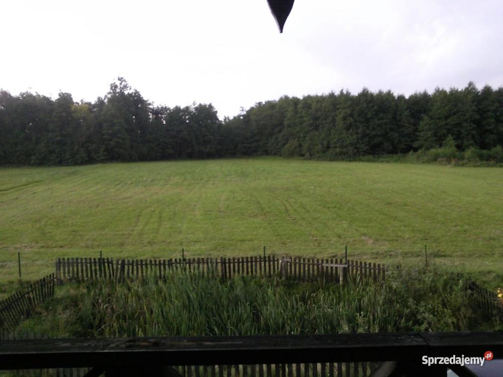 Dom Caloroczny umeblowany 147 m2 Szteklin Liczba pokoi 5 Szteklin