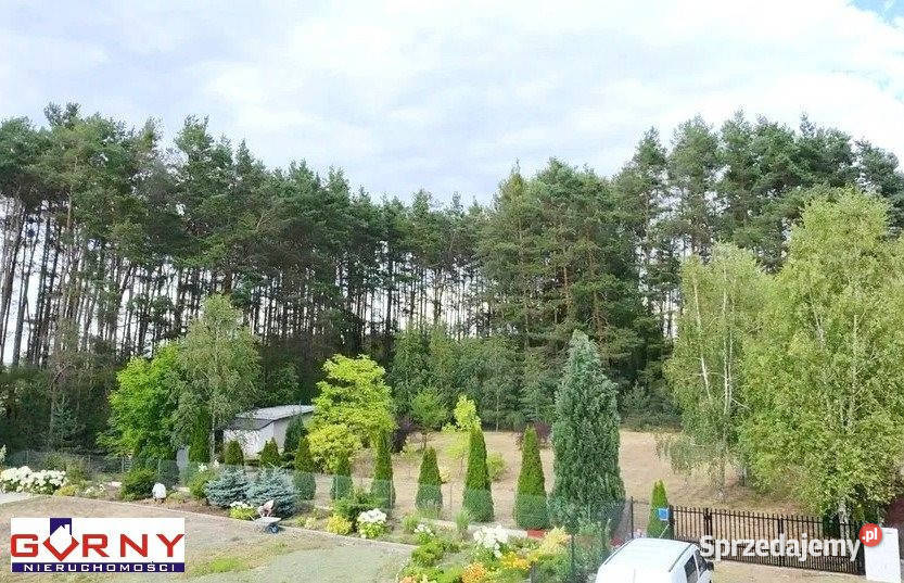 Grunt na sprzedaż Lubiaszów 1600m2