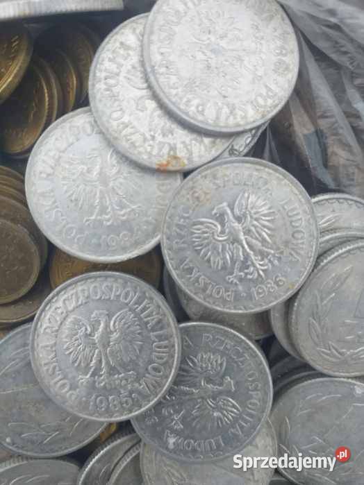 Sprzedam Przedmieście Dubieckie