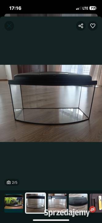 Akwarium 39l Akwarystyka