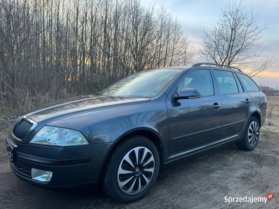 Skoda Octavia 19 tdi 105 2007 Grąblin