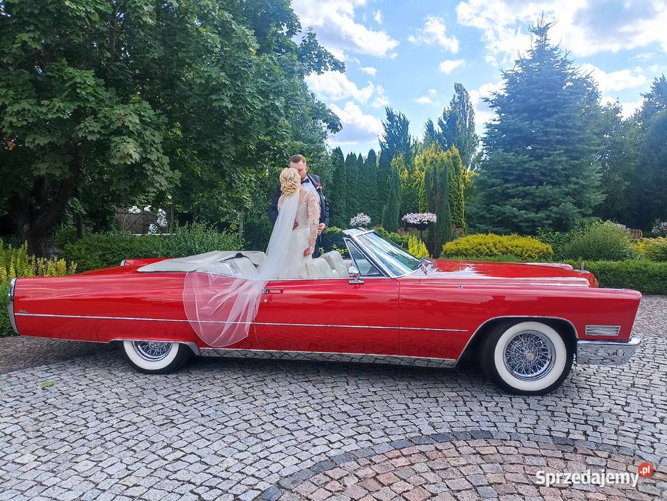 Cadillac Mustang Lincoln Rolls Bentley Mercedes Białystok