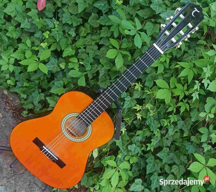 Gitara klasyczna Tanglewood DBT 34 Tuszyn
