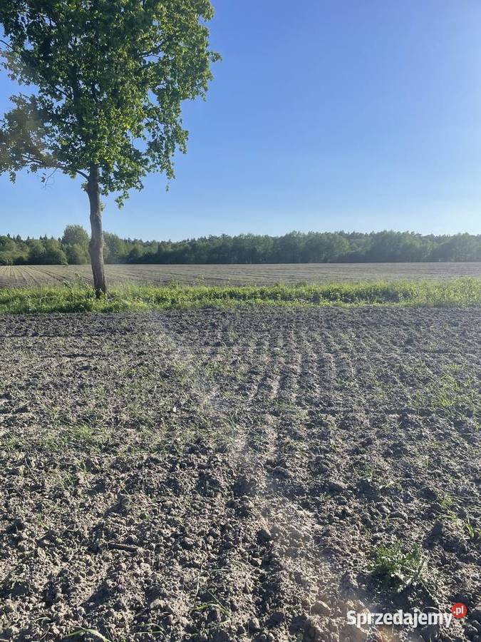 Działka budowlana Wincentów gm Łąck 1261m2 mazowieckie