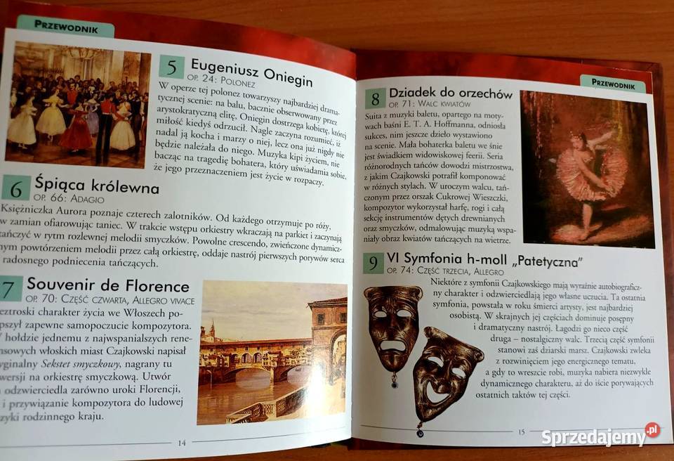 Czajkowski Poezja i Pasja CD Nowa Mistrzowie Płyty i kasety Opole