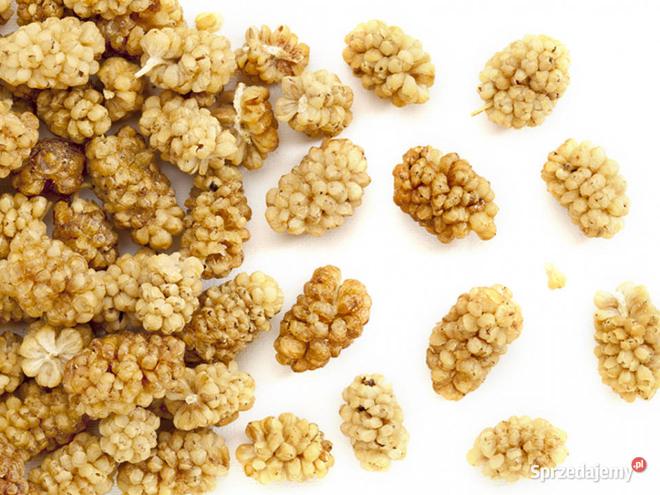 Morwa biała bez pestek 500g