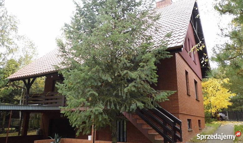 Całoroczny dom jeziorem powidzkim wielkopolskie Powidz