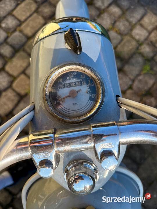 Komar sztywniak motorower podkarpackie