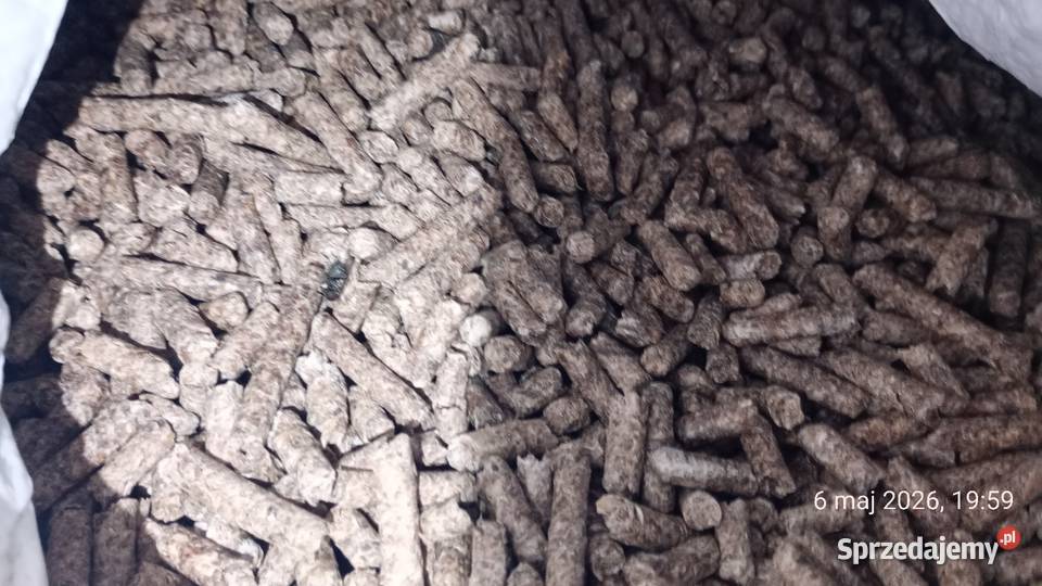 Gryka Kora wysłodki suche