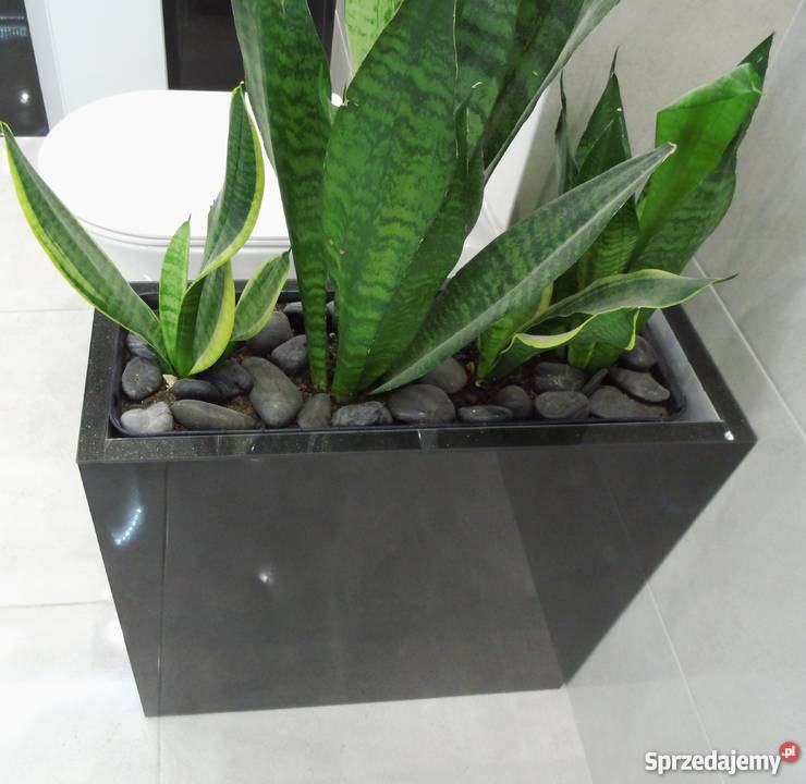 Glamour OSŁONKA Donica 55x55x20 LACOBEL BROKAT czarny Łódź