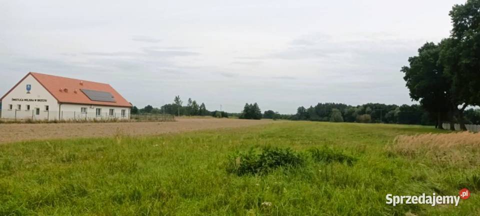 Działka pod 9 domów z WZ Brzezie Trzebnica asfalt