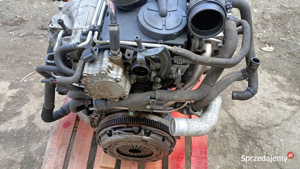 Silnik 20TDI 103kW BKD 223189 kompletny opolskie