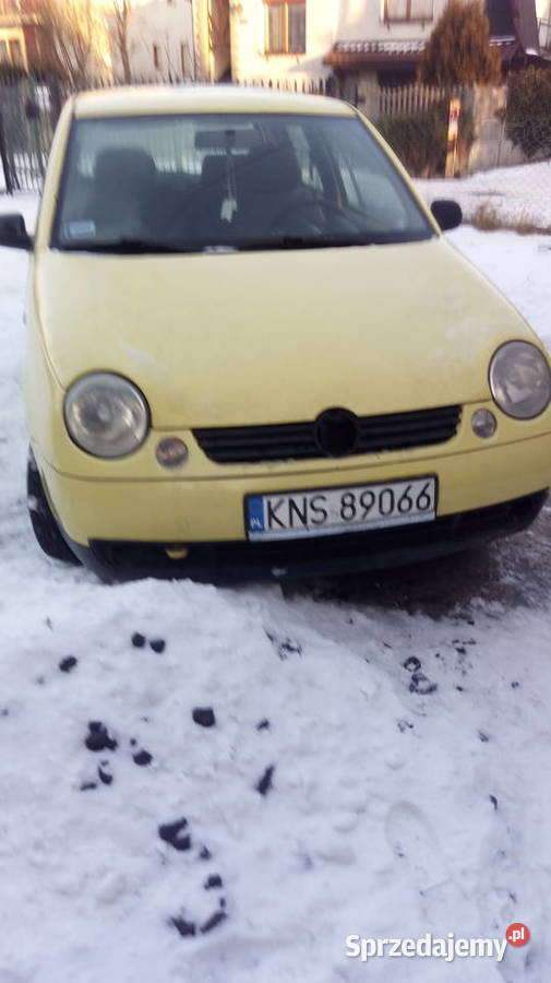 WW LUPO 10 Lupo małopolskie Nowy Sącz