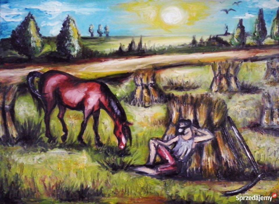 Obrazy olejne na płótnie Wrocław