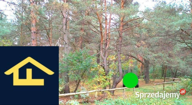 Działka w Woli Karczewskiej Wola Karczewska
