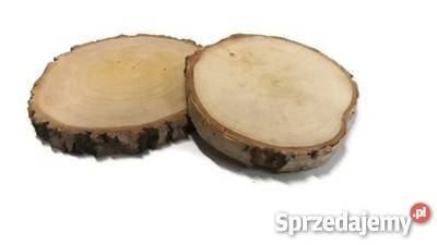 Plastry drewniane krążki drewna brzoza 1417 Rybnik