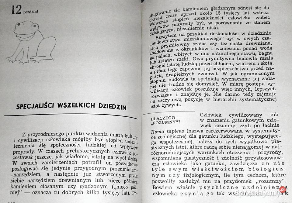 O zwierzętach prozaicznie Piotr Korda Chełm