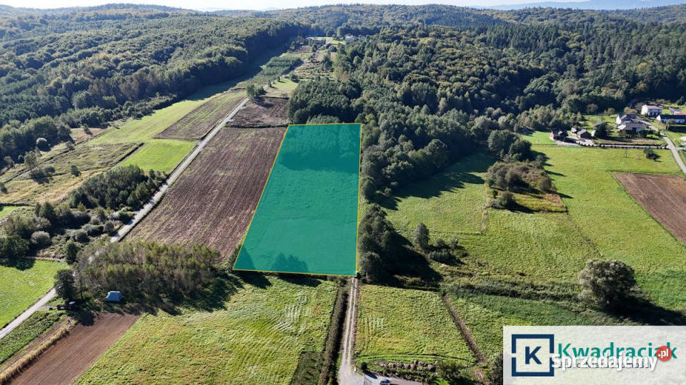 Działka Sieklówka 12304m2 podkarpackie