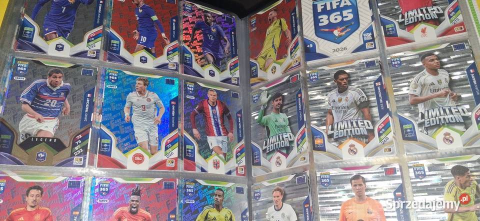 Album piłkarski panini Fifa 365 2025 Pozostałe Górowo Iławeckie sprzedam