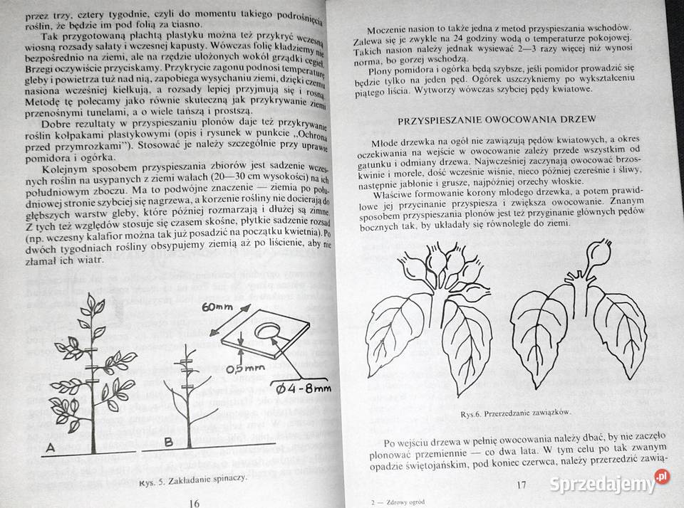 Zdrowy ogród Nina Grella Chełm