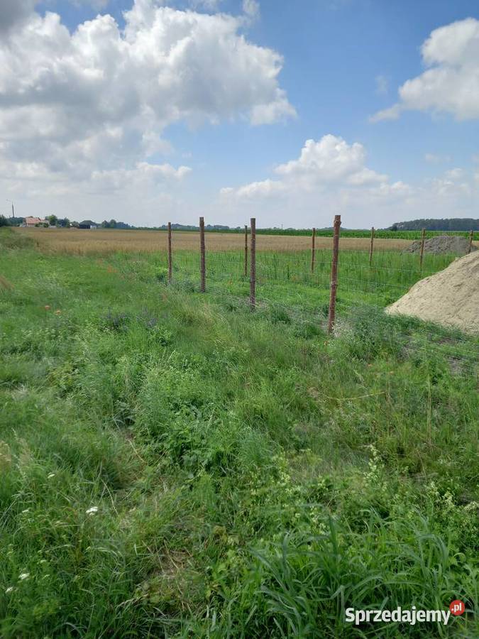 Działka budowlana z warunkami zabudowy Płońsk