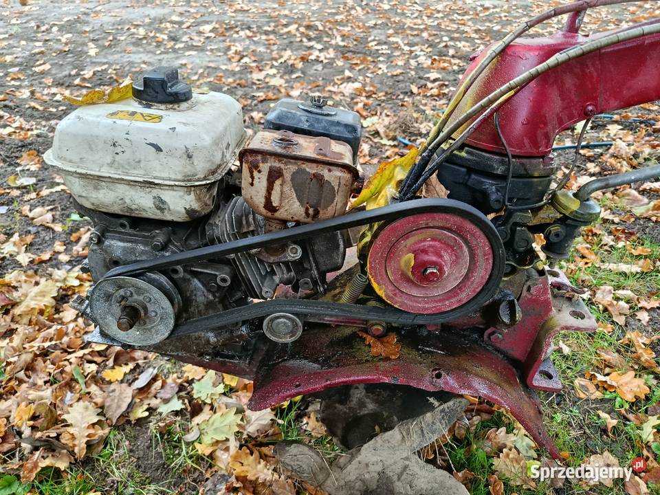Glebogryzarka Nawojów Łużycki sprzedam