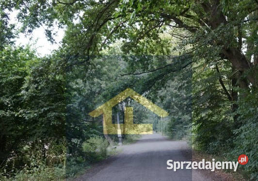 Działka gruntowa w Otwocku Wielkim pałacem mazowieckie Otwock Wielki sprzedam