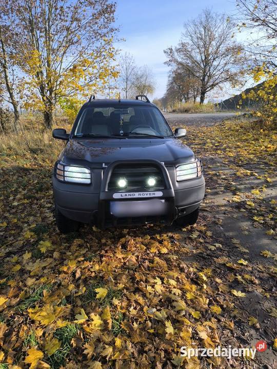 Sprzedam Landrover Freelander Freelander wielkopolskie Trzcianka