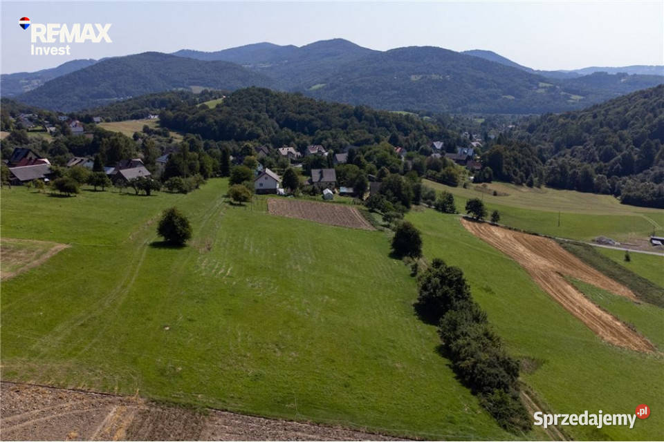 Grunty 5 400 m widok las i działka z WZ budowlana Sprzedaż Młynne