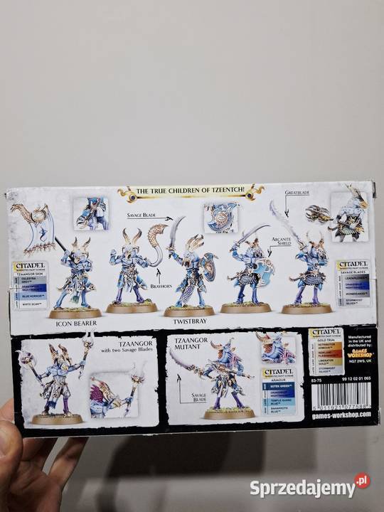 Warhammer Tzaangors Tzeentch Arcanites Age of Kraków