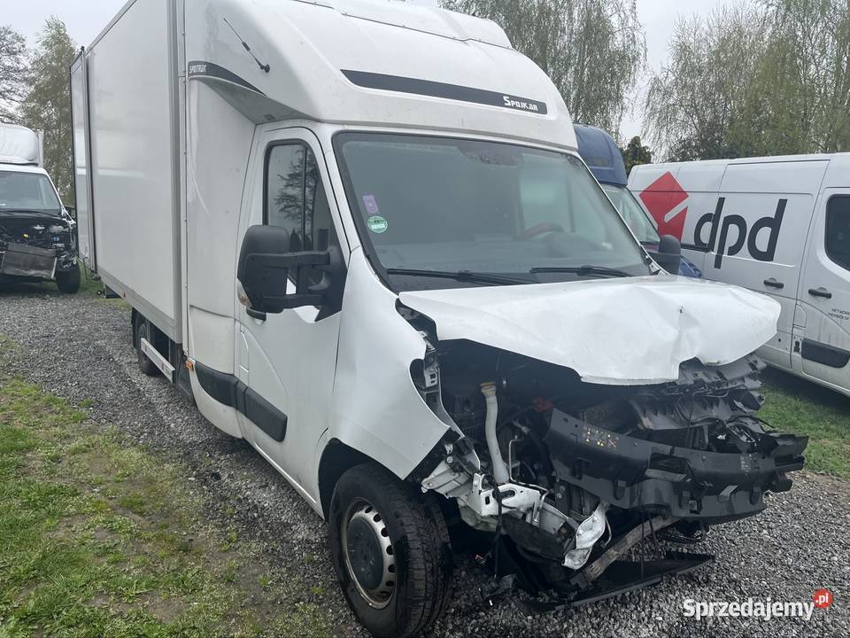 Renault Master serwisowany w ASO