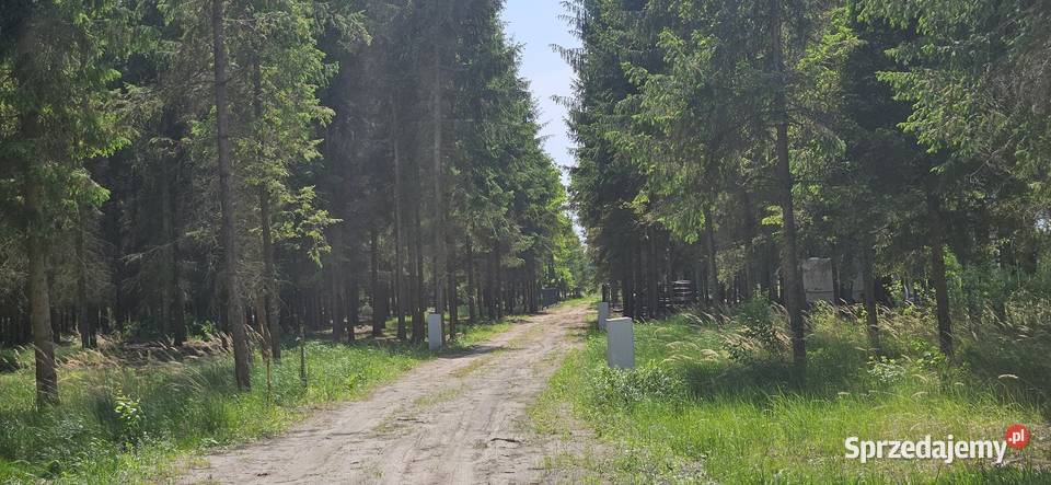 Działka bud 1202M2 WZ STUDNIE 83zł/m2