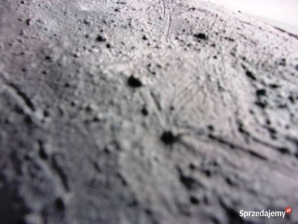 Wyjatkowy obraz olejny na płótnie Księżycowy mazowieckie Warszawa