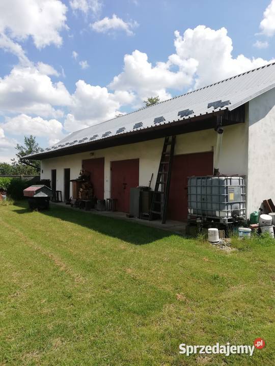 wyposażenie kpl młyna zbożowego Szyszków