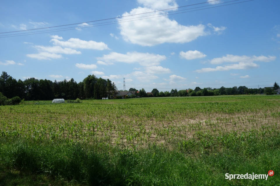 Skoczów Ochaby 157ar z częścią budowlano asfalt