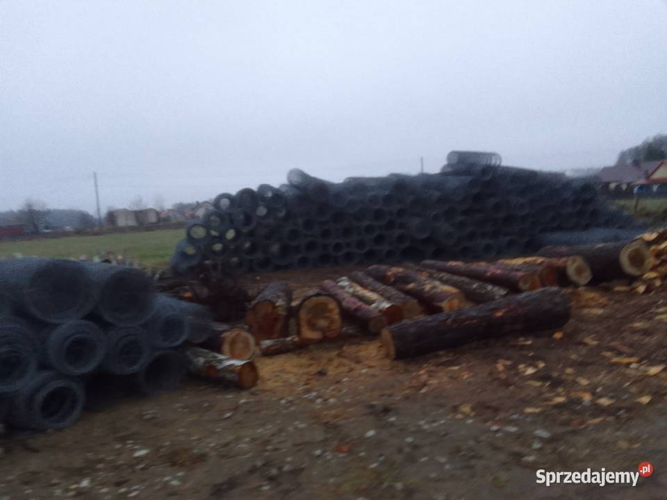 Siatka ogrodzeniowa lesna Pisz