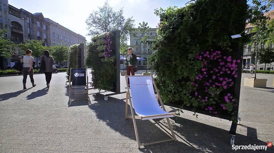 Projektowanie ogrodów ogrody wertykalne Jaworzno prace ogrodowe