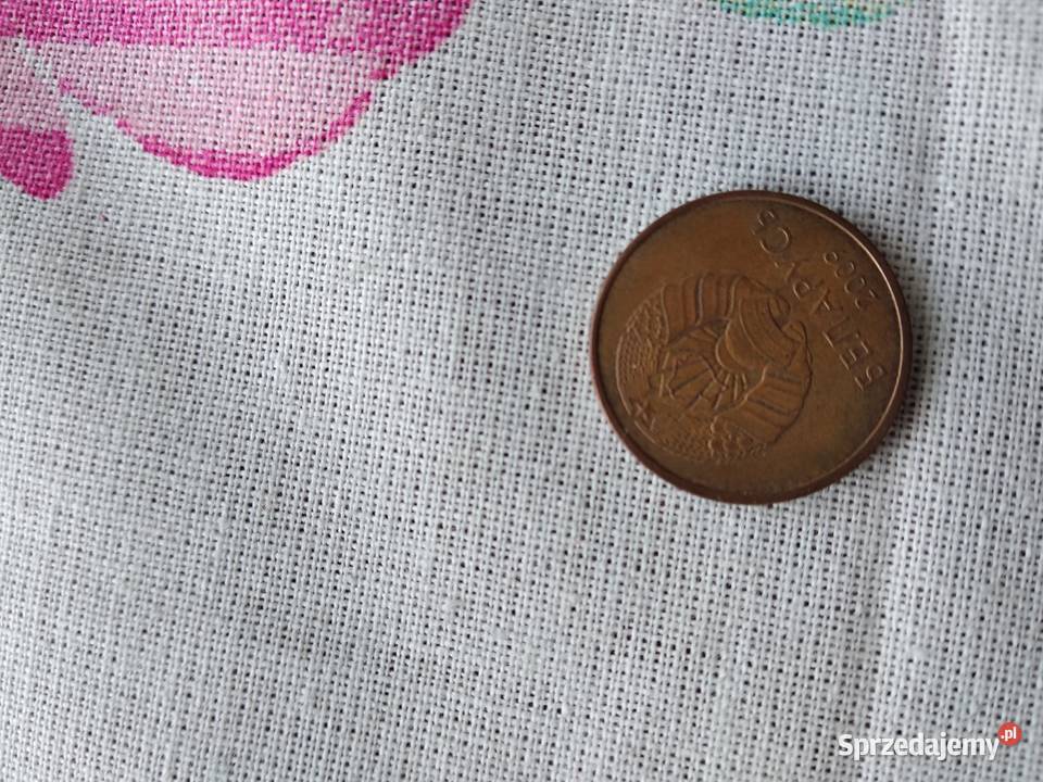 moneta 2 kopiejki 2009 wielkopolskie Poznań