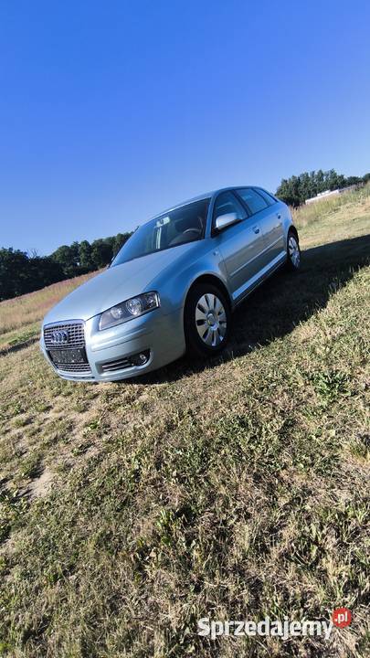 Audi A3 8P Sporback Oleśnica