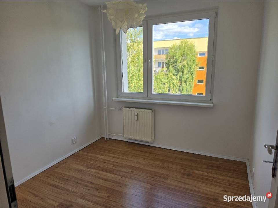 Przestronne 3 pokoje  62 m  Duży balkon  Lewityn  własność Pabianice